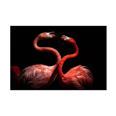 Eiji Itoyama 'Flamingos' Canvas Art, 16x24